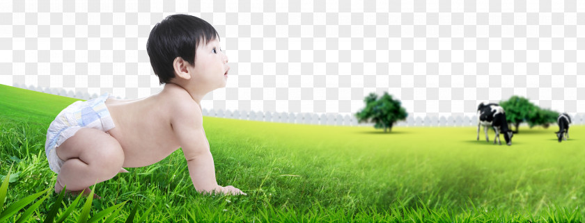Crawling Baby Lawn Human Behavior Toddler Nature Wallpaper PNG