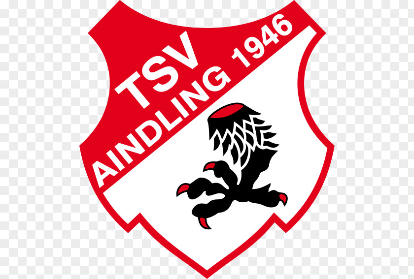 Football TSV Aindling Sports Association 1. FC Nuremberg PNG
