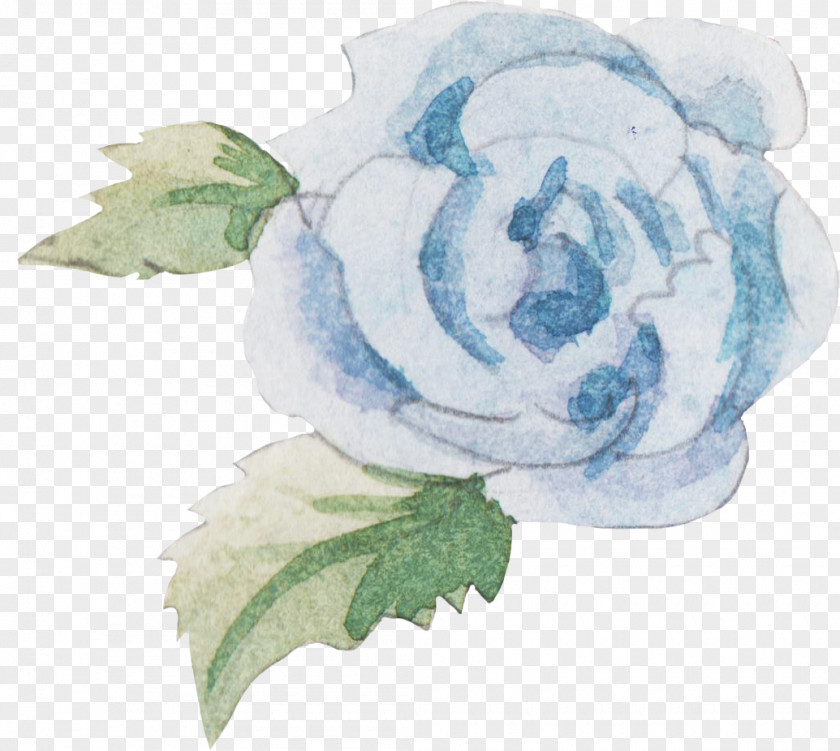 Knitting Pattern Cabbage Rose Garden Roses Blue PNG