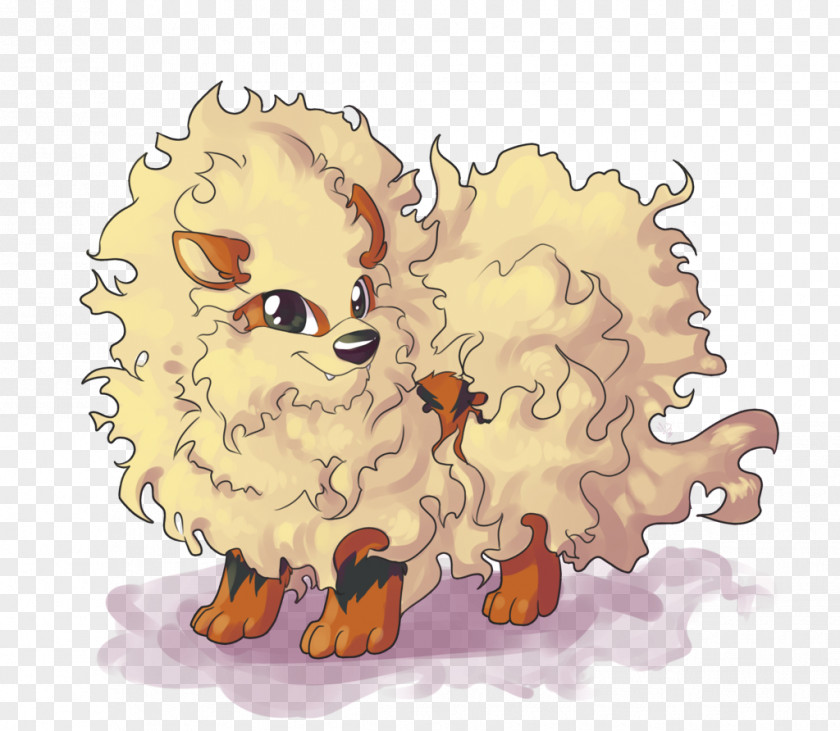 Puppy Pomeranian Lion Bear Cat PNG