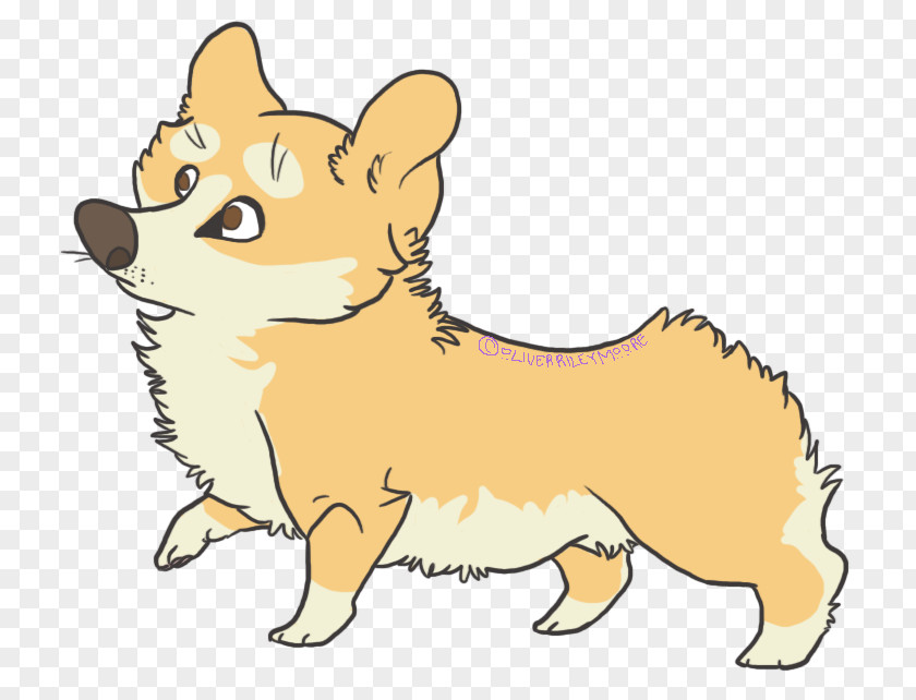 Puppy Whiskers Dog Breed Cat Red Fox PNG