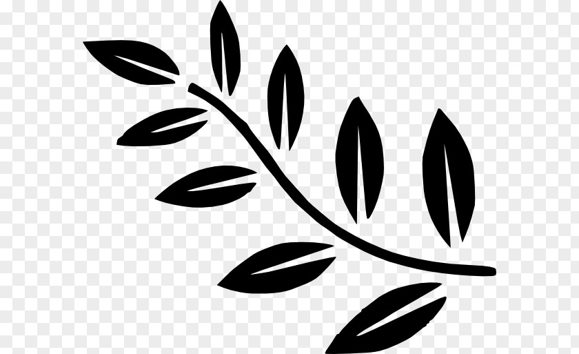 Clip Art Branch Leaf Plants PNG