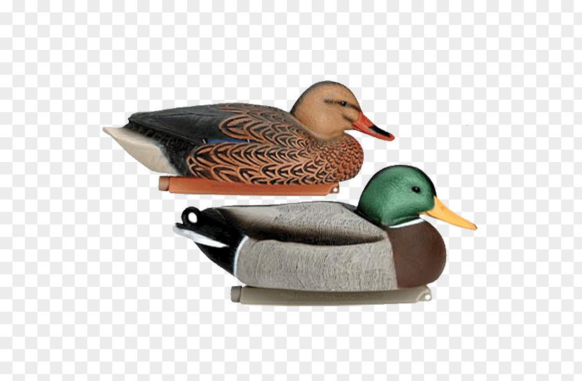 Duck Mallard Decoy Hunting PNG