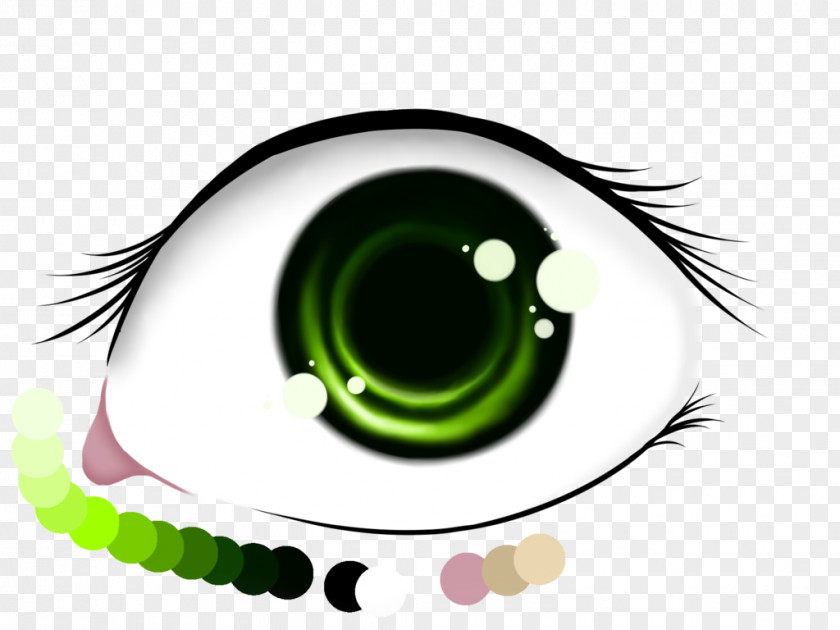 Green Eye Eyelash Eyebrow Close-up Brand Clip Art PNG