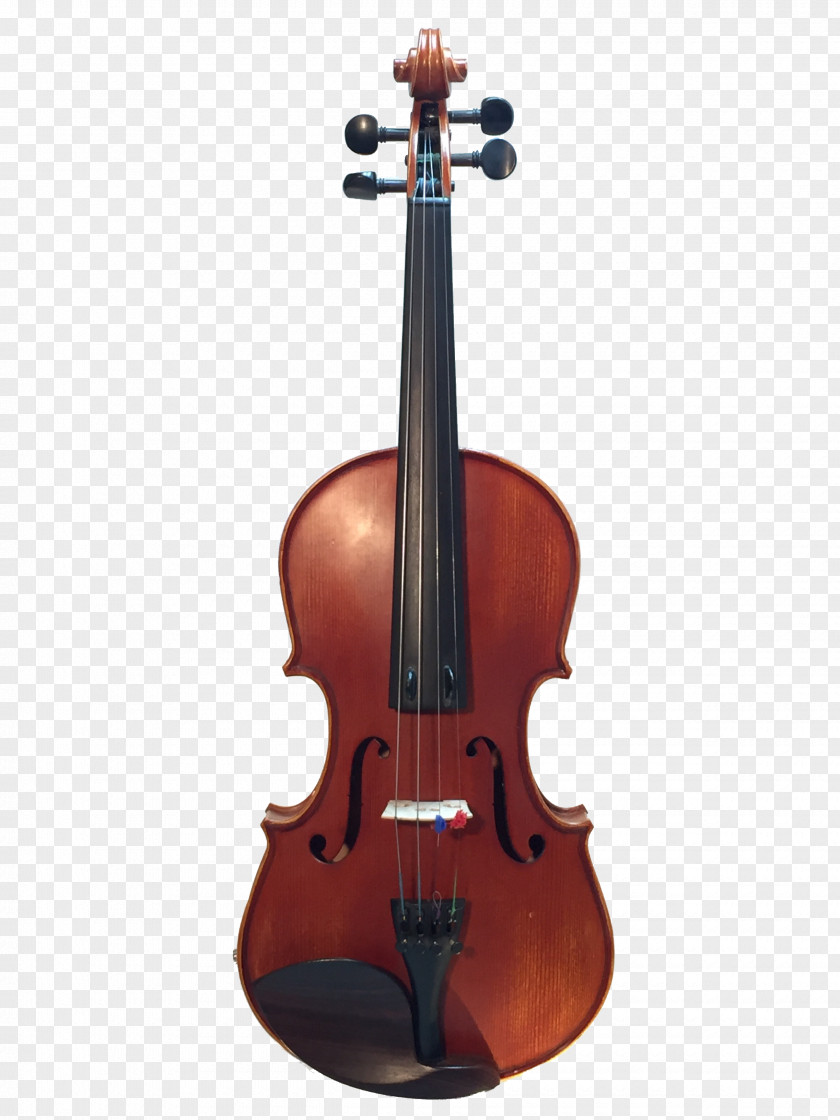 Violin Electric Luthier Cello Musical Instruments PNG