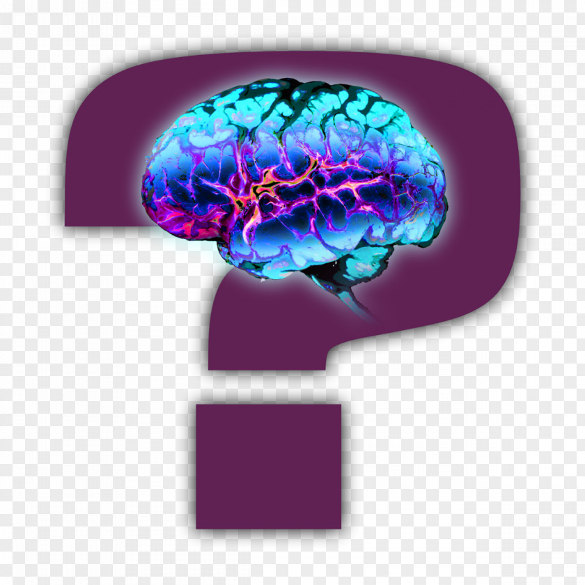 Brain Organism Neurology Font PNG