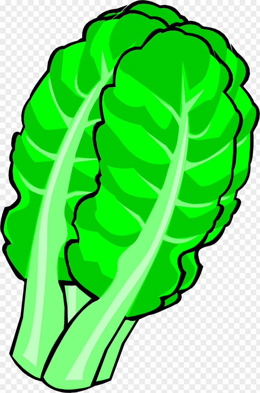 Chinese Cabbage Leaf Vegetable Clip Art PNG