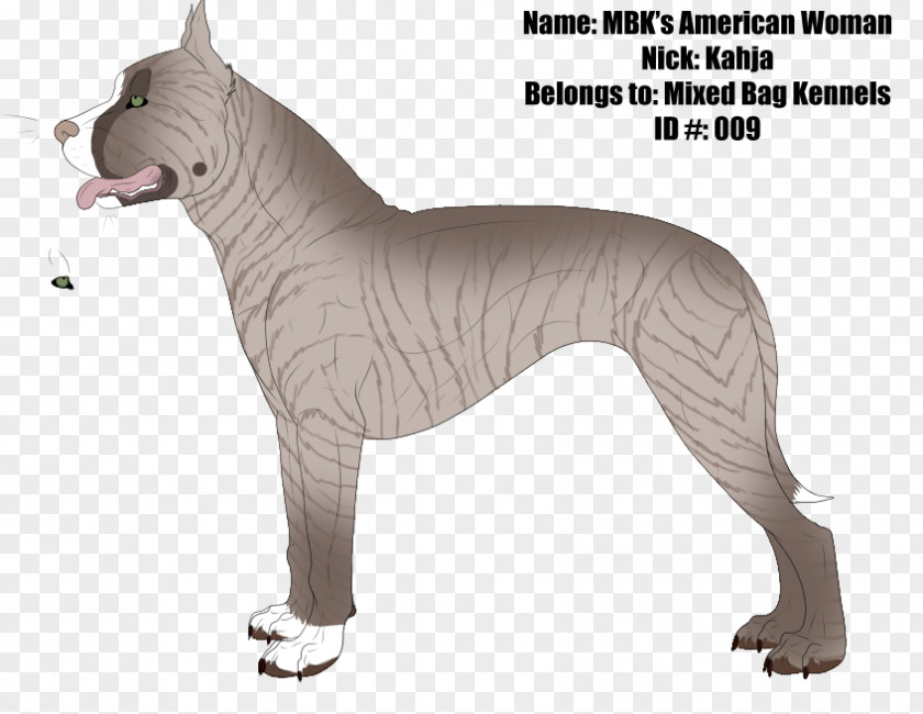 Dog Run Breed Italian Greyhound Non-sporting Group PNG