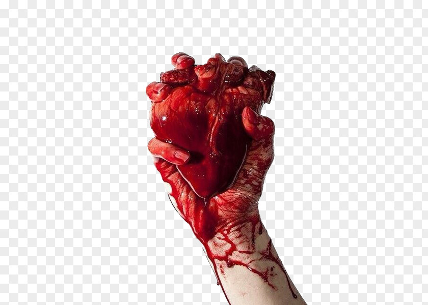 Heart Blood Hand Anatomy PNG