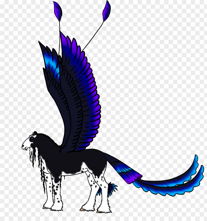 Horse Tail Feather Clip Art PNG