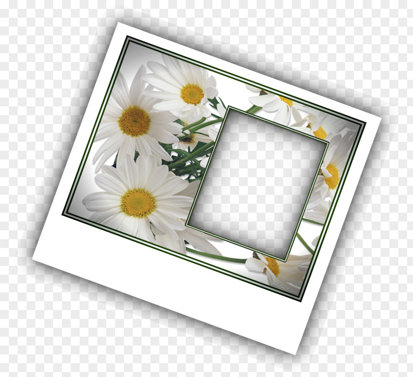 Polaroids Picture Frames PhotoScape Photography GIMP PNG