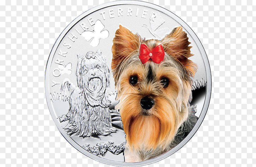 Puppy Yorkshire Terrier Coin Silver PNG