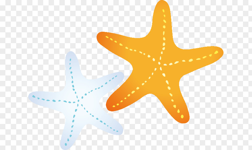 3g Summer Special Privileges Starfish Image Editing Echinoderm PNG