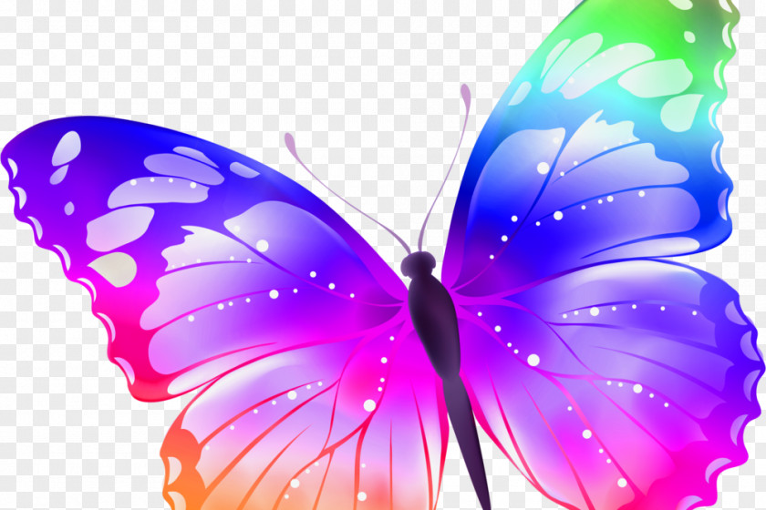 Butterfly Sticker Insect Clip Art PNG