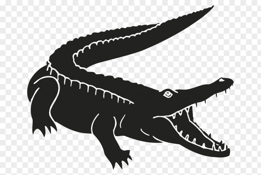 Crocodile Alligators Adhesive Sticker Animal PNG