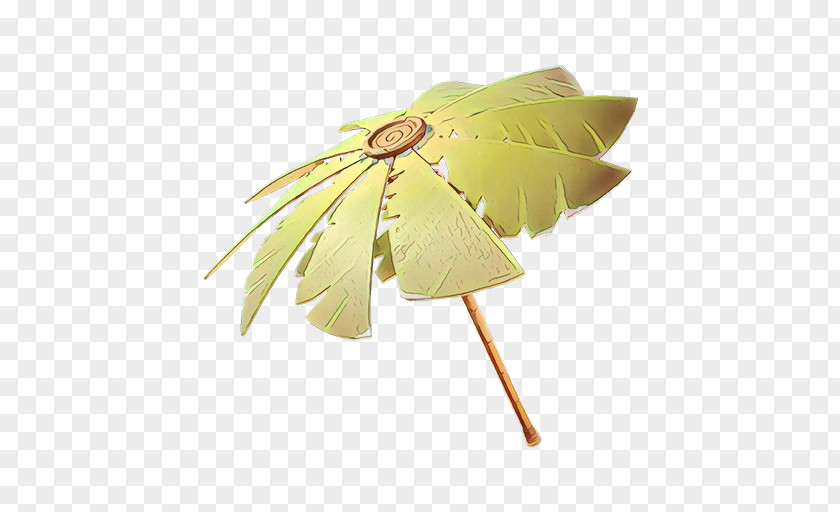 Leaf Tree Yellow Plant Woody PNG