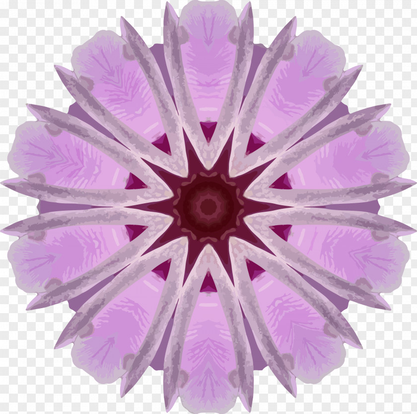 Orchid Flower Lilac Transvaal Daisy Clip Art PNG
