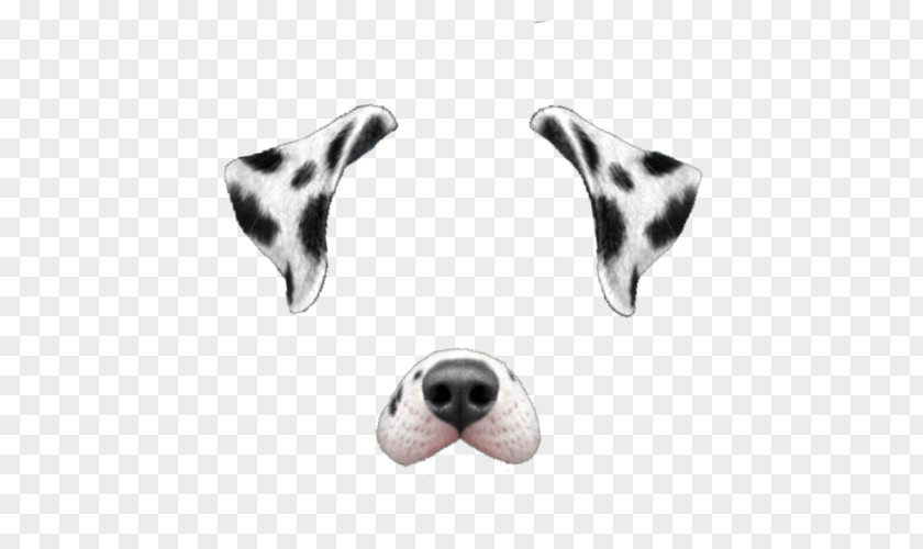 Snapchat Dalmatian Dog PNG