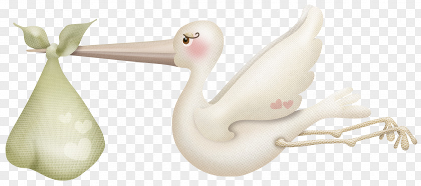 Swan Cygnini Duck Water Bird PNG