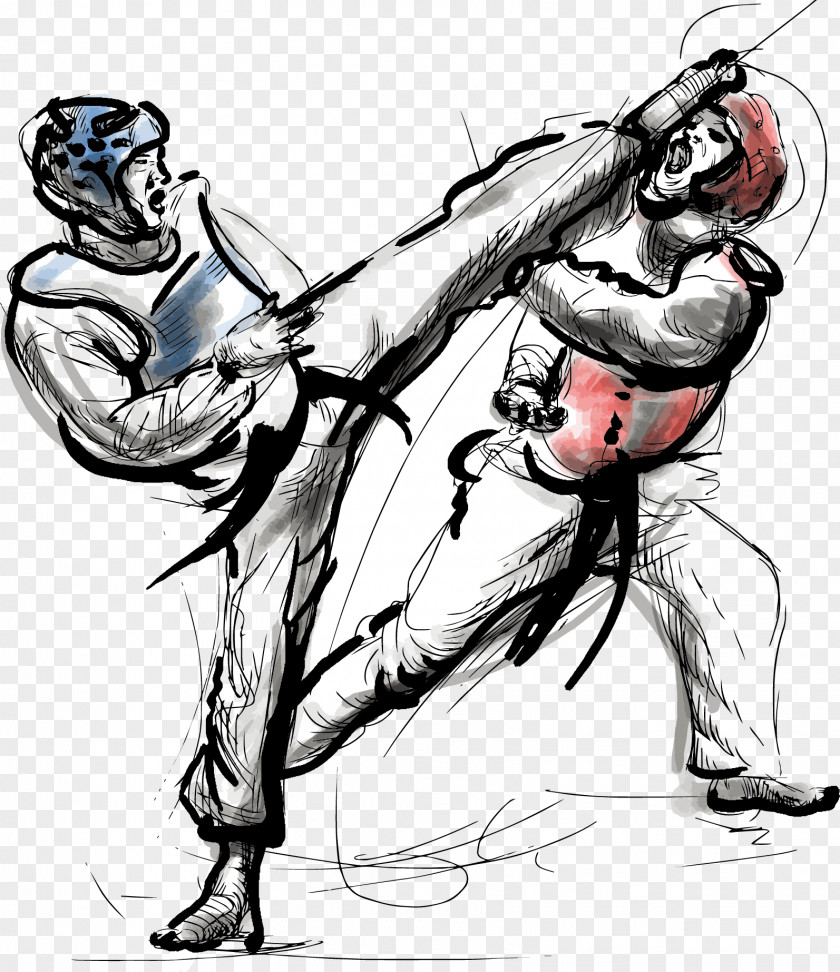Vector Fighting Taekwondo Drawing Euclidean Illustration PNG