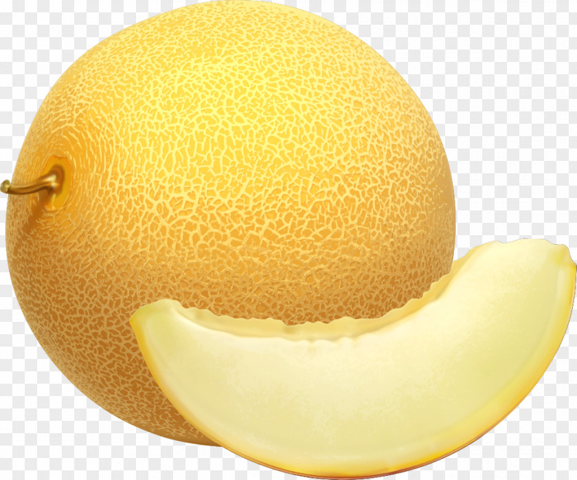Vector Melon Cantaloupe Hami Fruit Clip Art PNG