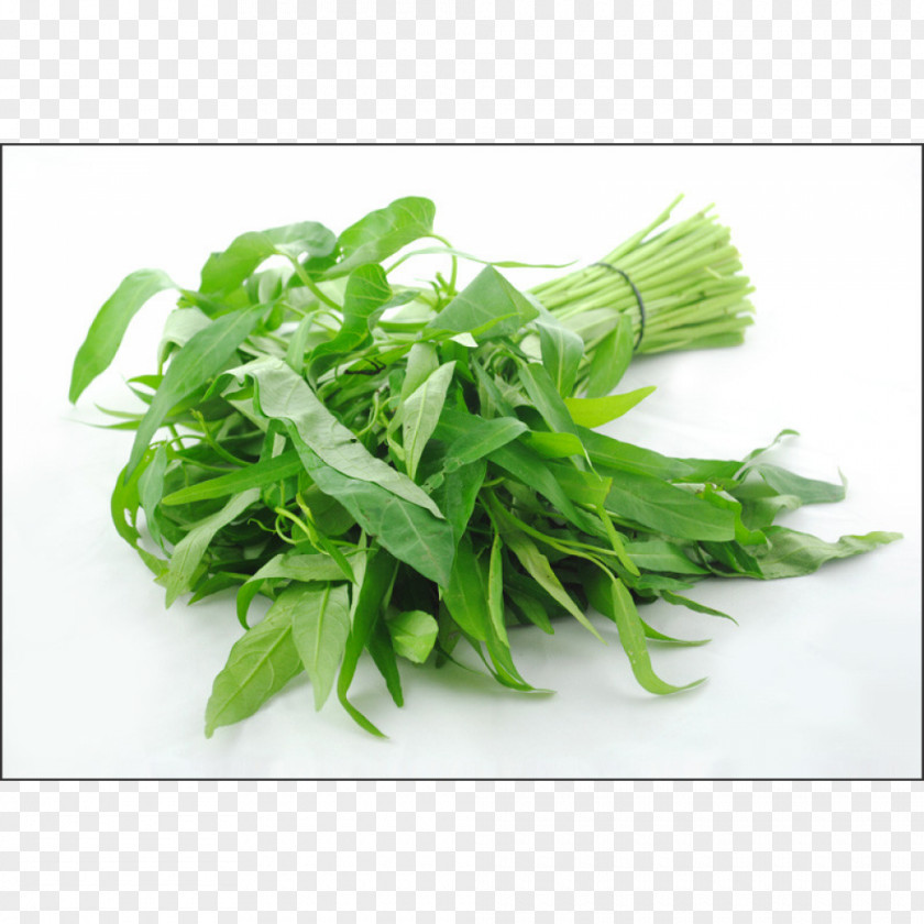 Vegetable Water Spinach Food Meat Stir Frying PNG