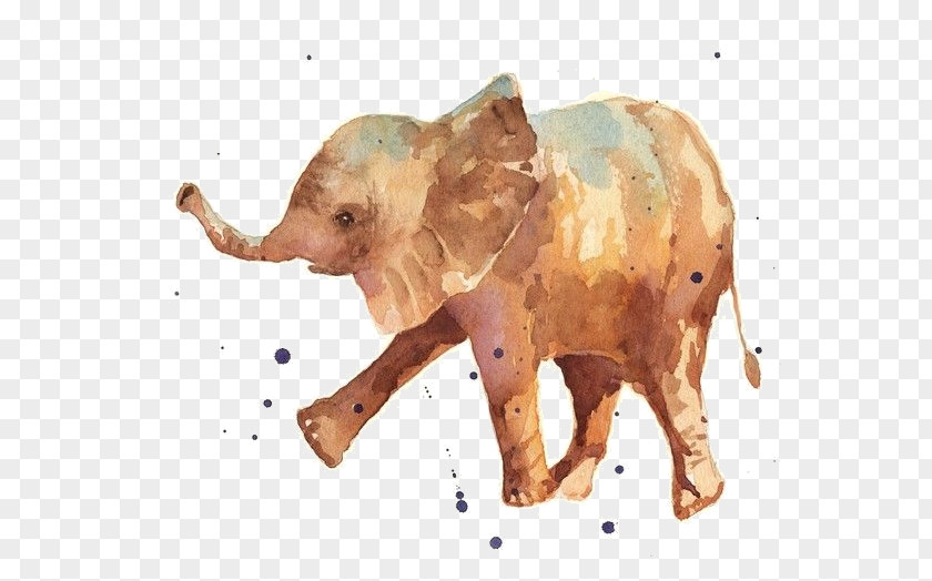 Watercolor Elephant PNG elephant clipart PNG