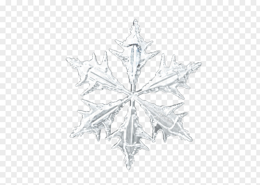 Christmas Hexagonal Snowflakes Hexagon Symbol Snowflake PNG