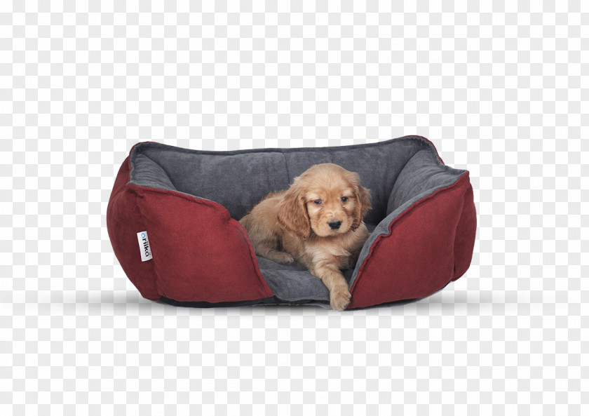 Dog Bean Bag Chairs Breed Bed Pillow PNG