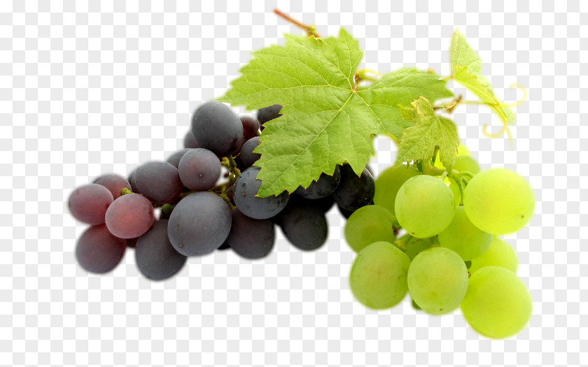 Grapes Kyoho Wine Grape Clip Art PNG