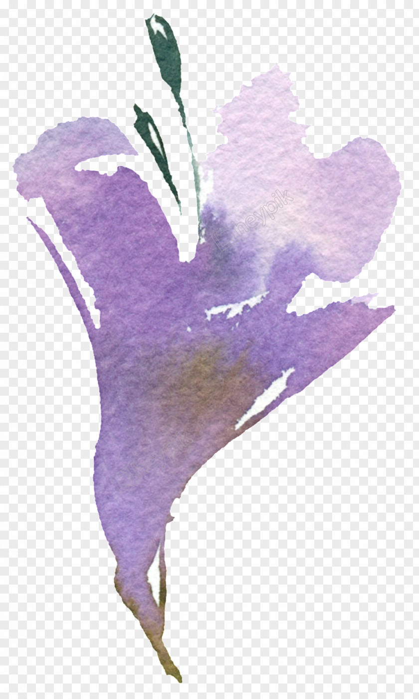Assign Watercolor Painting Art Design Image PNG