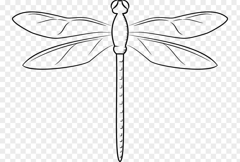 Dragonfly Tattoo Download Clip Art Vector Graphics PNG