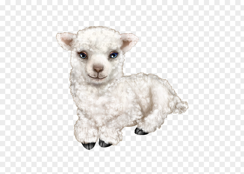 Sheep Baby Stuffed Animals & Cuddly Toys Goat Clip Art Drobnica PNG