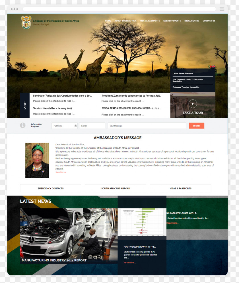 Web Design Hosting Service Sul Africa PNG