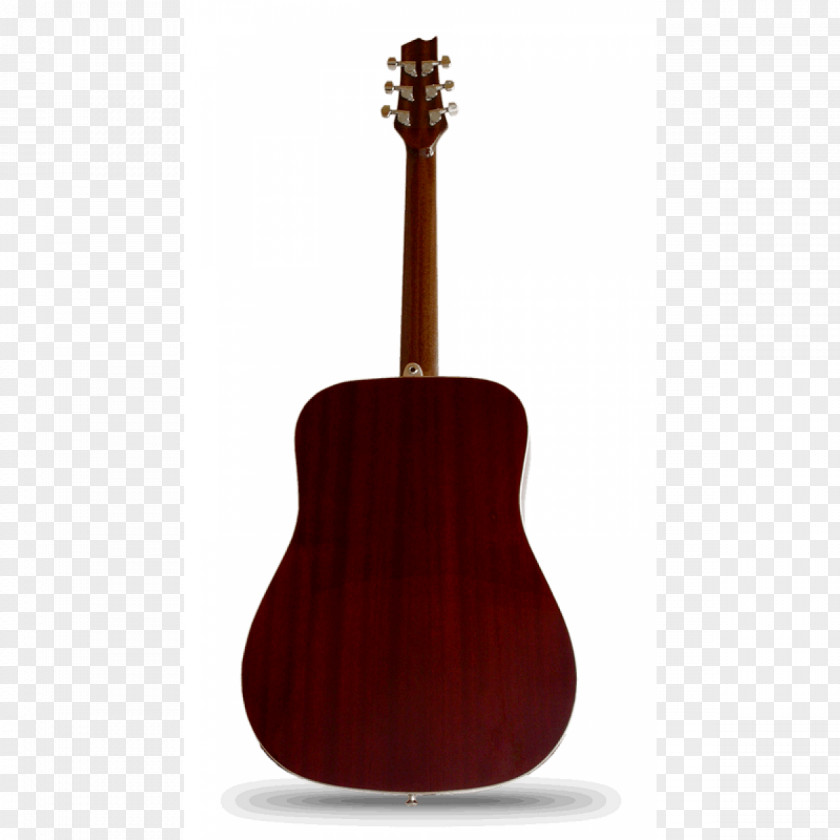 Acoustic Guitar C. F. Martin & Company Tiple Acoustic-electric PNG