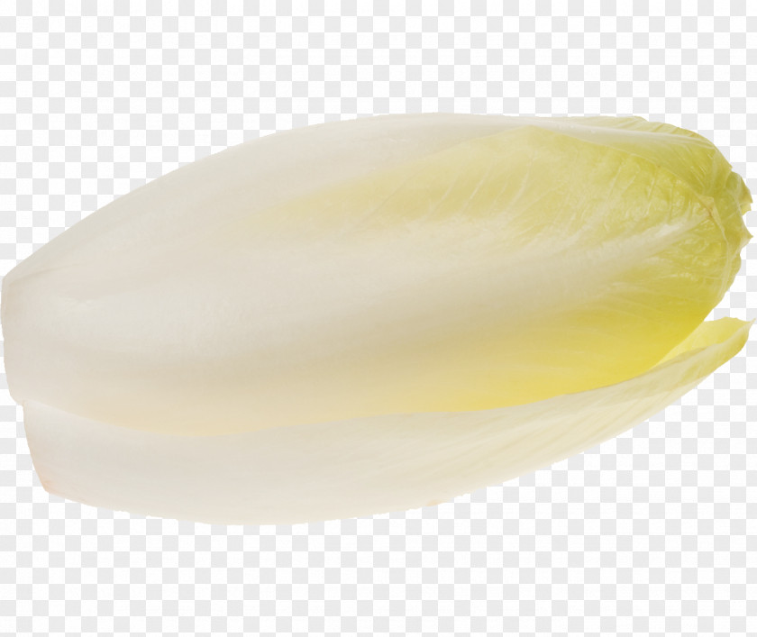Baby Food Vegetable Cabbage PNG