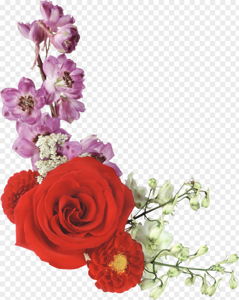 FLORES Flower Photography Clip Art PNG