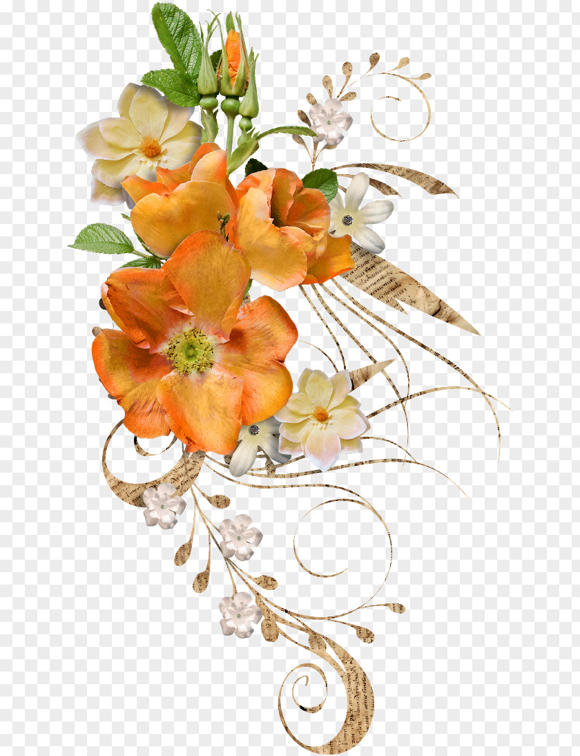 Resim Ara Floral Design Picture Frames PNG