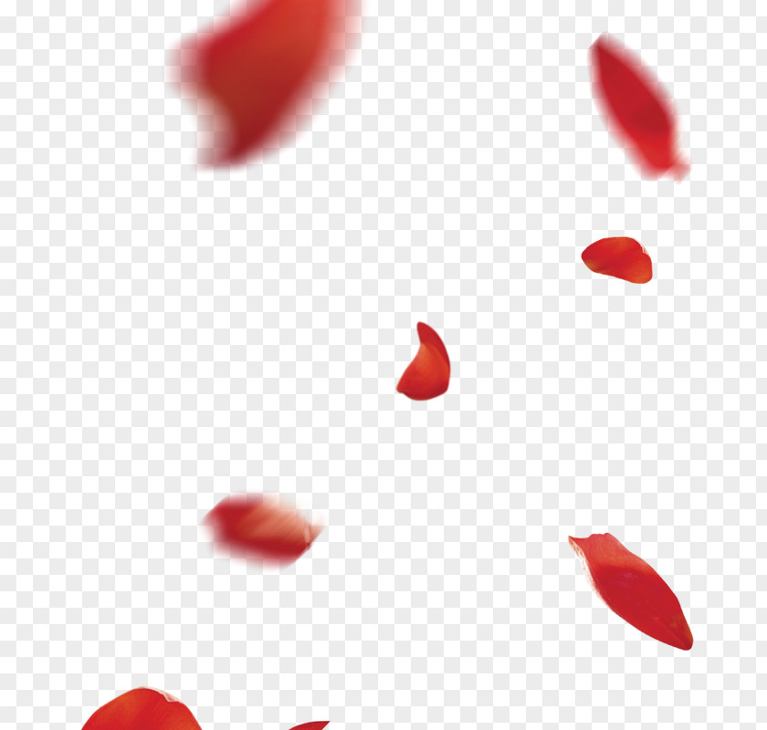 Rose Download Flower Clip Art PNG