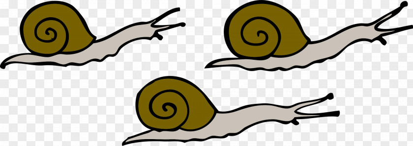 Snails Snail Clip Art PNG