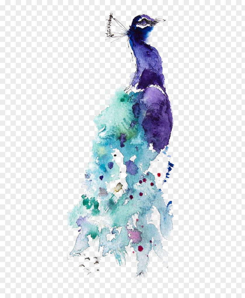 Watercolor Peacock Painting Peafowl Drawing Art PNG