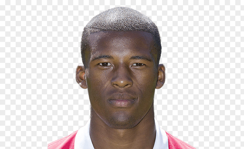 Adam Lallana Georginio Wijnaldum FIFA 17 Netherlands National Football Team 2014 World Cup Liverpool F.C. PNG