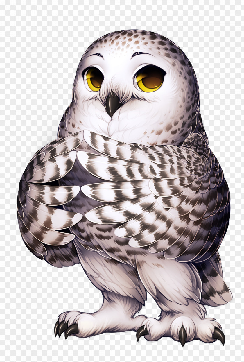 Bird Great Grey Owl Snowy Barn PNG