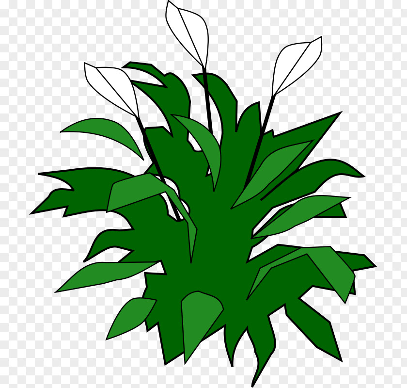 Cool Biohazard Symbols Spathiphyllum Wallisii Favicon Free Content Clip Art PNG