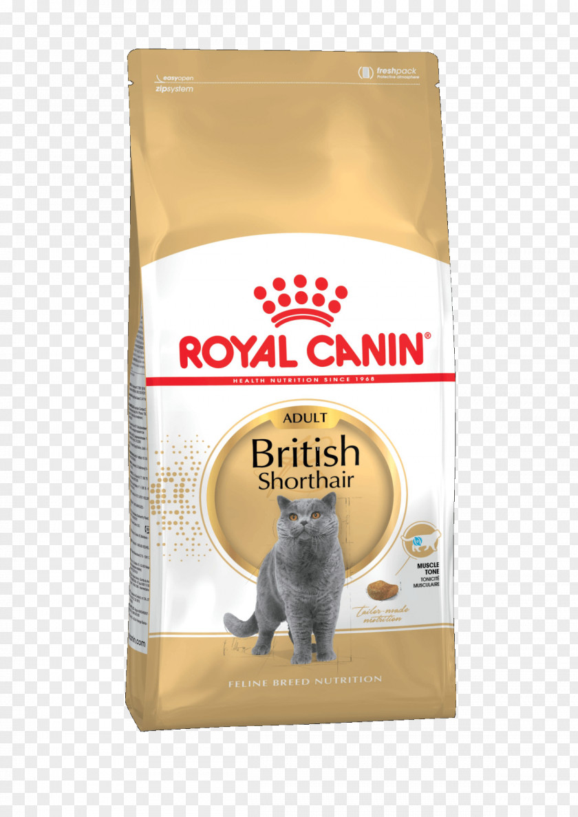 Dog British Shorthair Royal Canin Cat Food Persian PNG