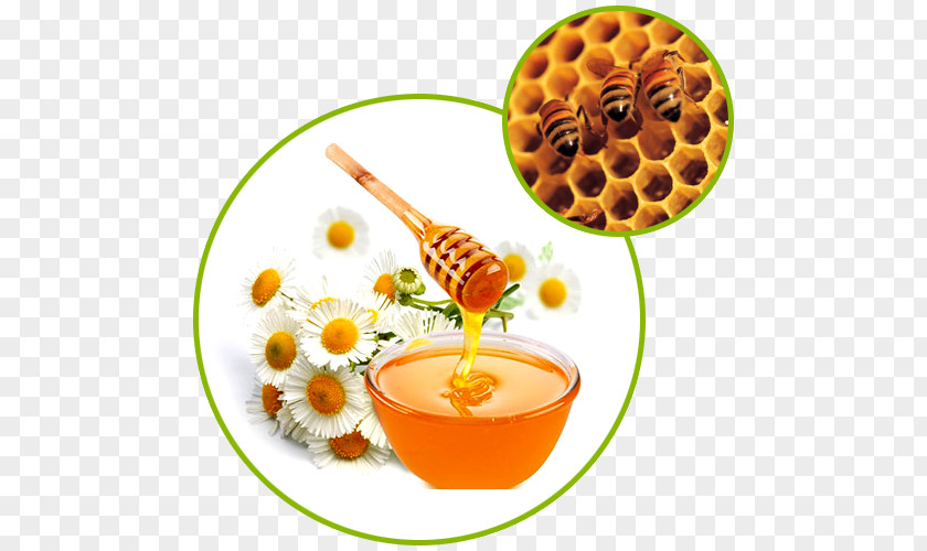 Honey Jar Food Product Beekeeping PNG