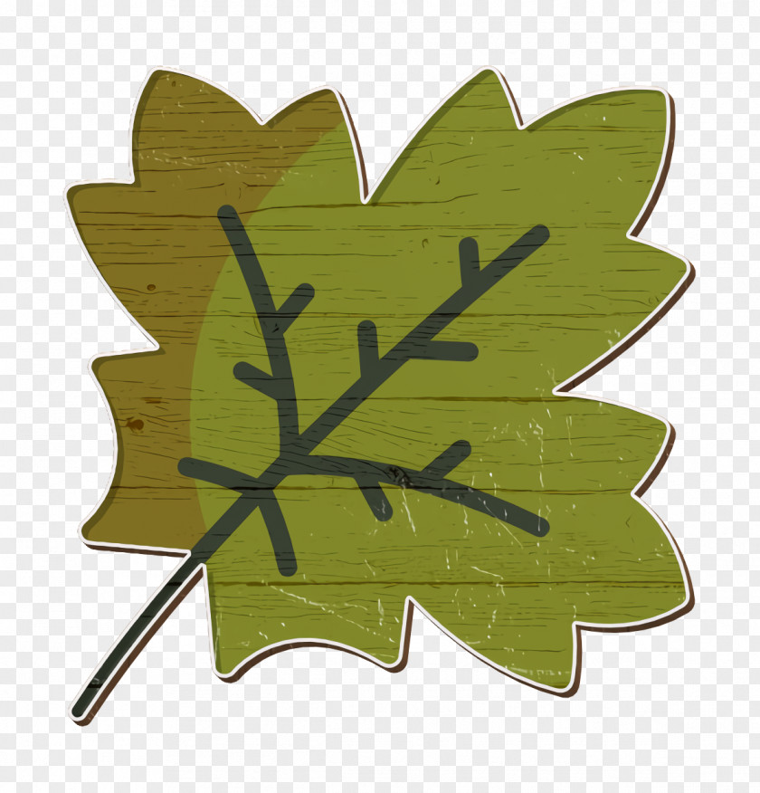 Maple Leaf Icon Autumn PNG