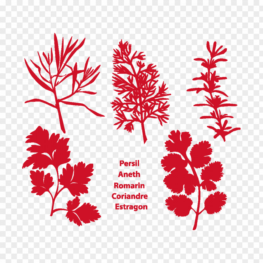 Pedicel Plant Floral Flower Background PNG