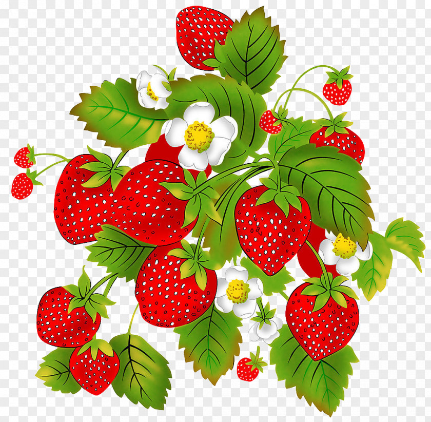 Strawberry Aedmaasikas Child Auglis Raspberry PNG