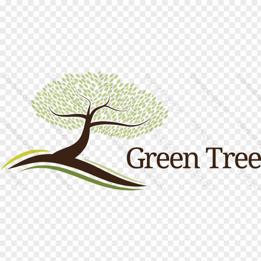 Tree Logo Brand Line Font PNG